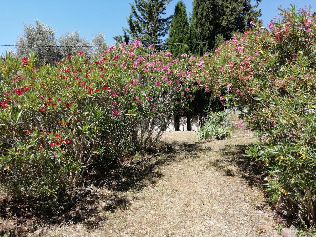Apartment T2 36 M2, Rdc De Villa, Clim, Gd Jardin Clos, Animx Ok, Quartier Mt Faron Tres Calme, Wifi, Parking