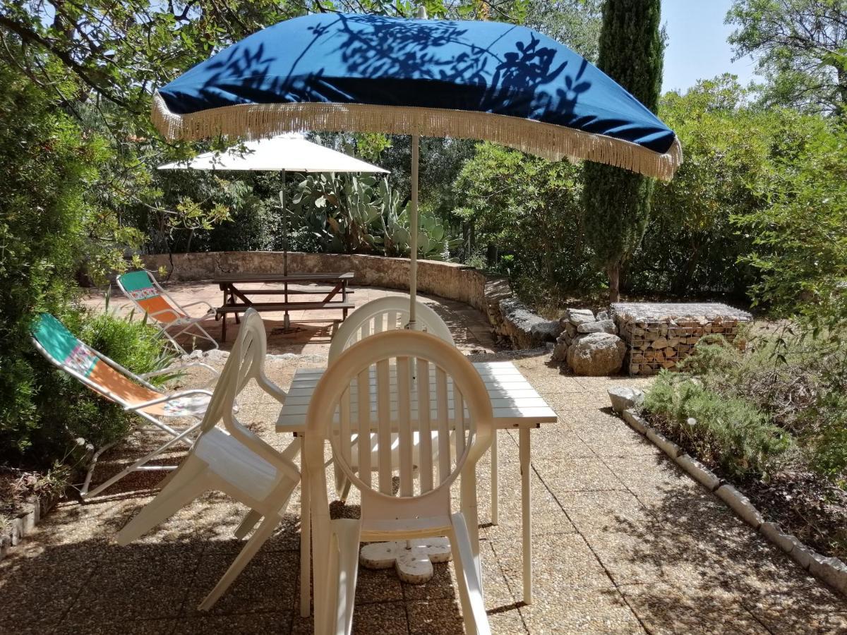 Apartment T2 36 M2, Rdc De Villa, Clim, Gd Jardin Clos, Animx Ok, Quartier Mt Faron Tres Calme, Wifi, Parking Toulon