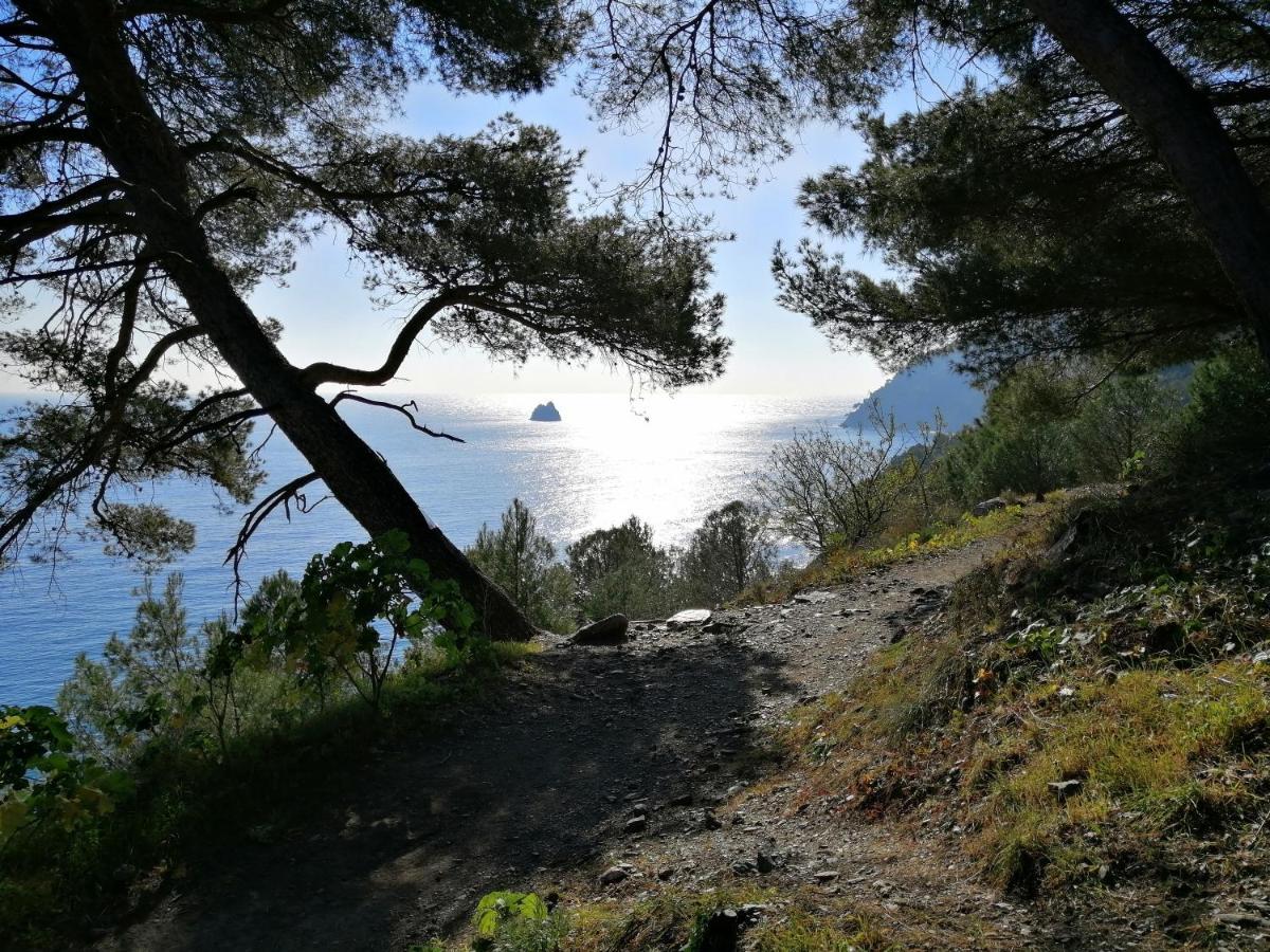 T2 36 M2, Rdc De Villa, Clim, Gd Jardin Clos, Animx Ok, Quartier Mt Faron Tres Calme, Wifi, Parking * Toulon